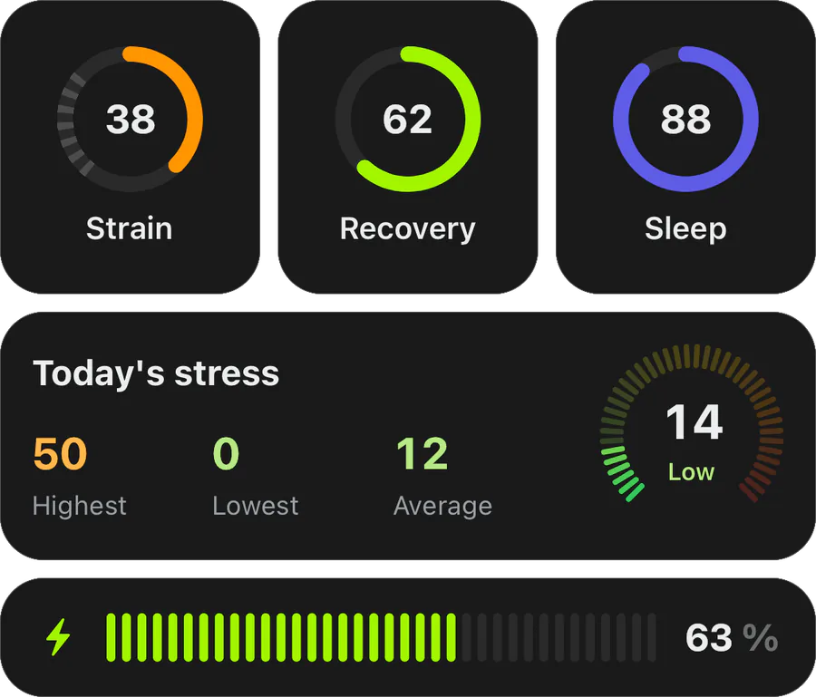 State AI daily scores: strain, recovery and sleep rings above today's stress and energy readouts