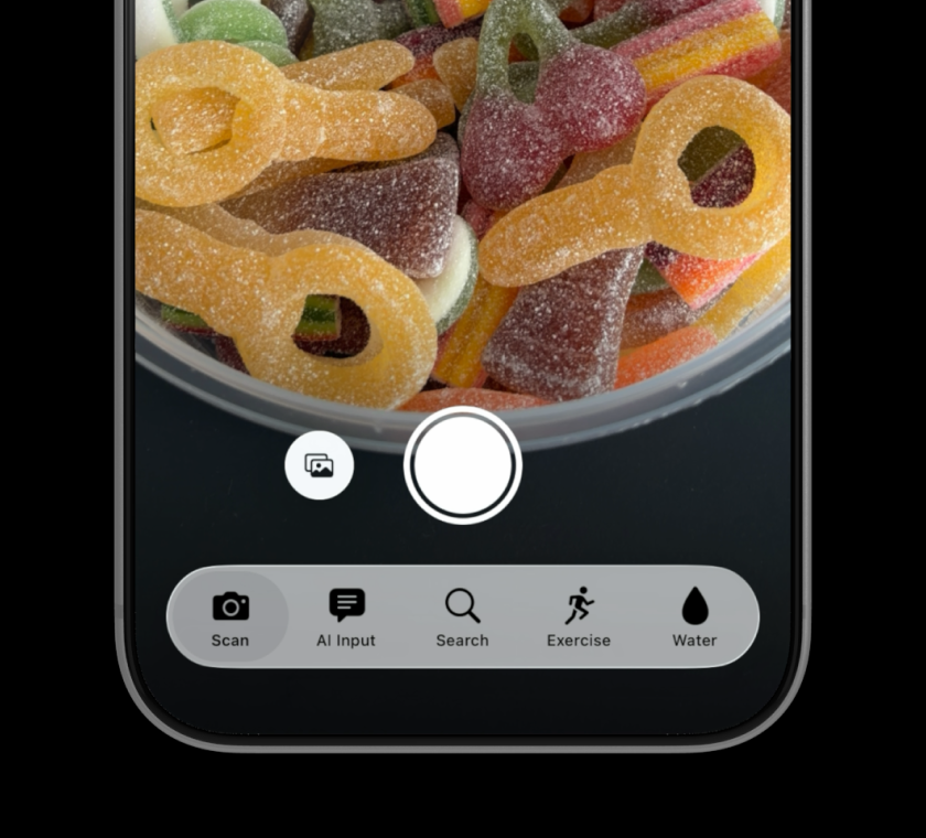 Scan food camera view identifying a meal